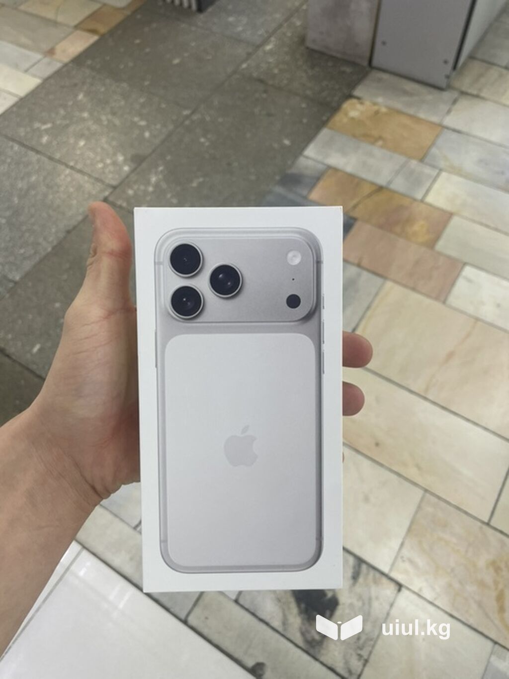 IPhone 17 Pro Max, 256 ГБ, цвет Silver (серебристый). Модель A2954