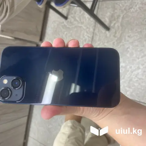 iPhone 13 256