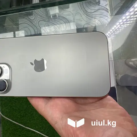 iPhone 16 pro max