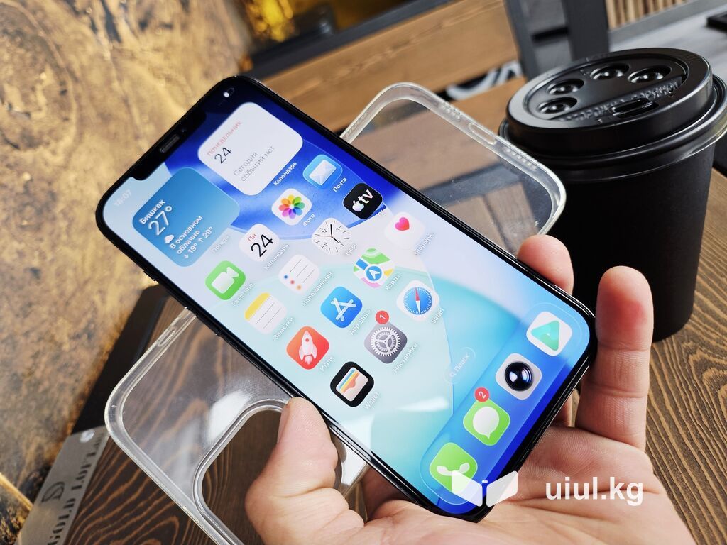 IPhone 12 Pro Max, Б/у, 256 ГБ, Pacific Blue, Чехол, 80 %