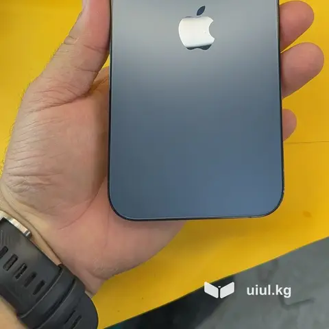 IPhone 12 Pro Max, Б/у, 256 ГБ, 100 %